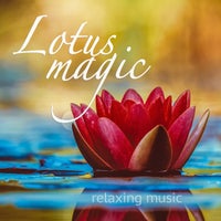 VA - Lotus Magic [DY MO Music]
