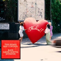RAYE - WHERE IS MY HUSBAND! album artwork