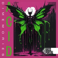 DIMEMORIES & DnB Portal - Acid album artwork