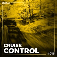 VA - Cruise Control 016 [LW Recordings]