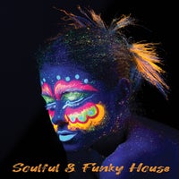 VA - Soulful & Funky House - (House Place Records)