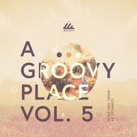 VA - A Groovy Place, Vol. 5 [IBOGATECH132]