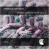 VA - Remix Atmosphere Vol. 4 [Neonius Records]