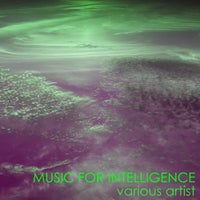 VA - Music for Intelligence [WELLKRAUD Collections]