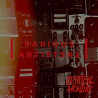 VA - Various Artists 2 [Critical Monday]