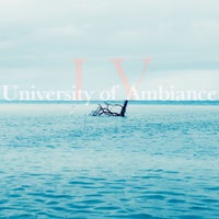 VA - University of Ambiance, Vol. 4 [Transvection Ltd]