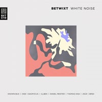 VA - White Noise [BETWIXT]