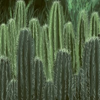 Tim Engelhardt - Polygon Particles album artwork