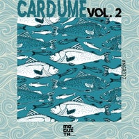 VA - Cardume, Vol. 2 [Me Gusta Records]