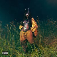 SZA - I Hate U album artwork
