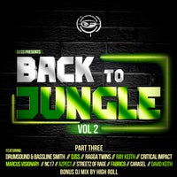 VA - Back to Jungle, Vol. 2 (Pt. 3) [Formation Records]