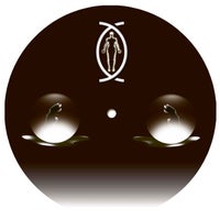 Autokinetic - Wakeword album artwork