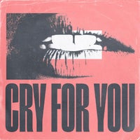 DE SOFFER - Cry For You (Extended Mix) album artwork