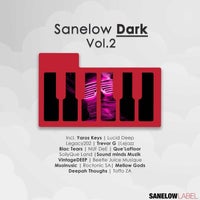 VA - Sanelow Dark, Vol. 2 - (Sanelow Label)