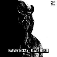Harvey McKay - Black Horse album artwork