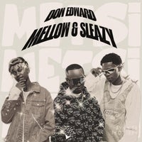 Don Edward & Mellow & Sleazy - Metsi album artwork