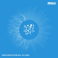 VA - Redux Selection Vol. 10 2022 [Redux Digital]