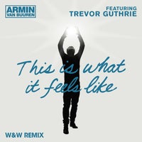 Armin van Buuren - This Is What It Feels Like (feat. Trevor Guthrie) [W&W Remix] album artwork
