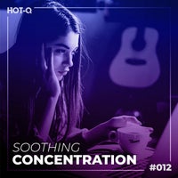 VA - Soothing Concentration 012 [LW Recordings]