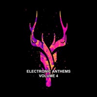 VA - Electronic Anthems Vol. 4 [Digital Village Music]