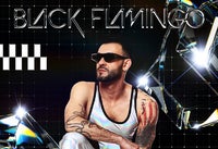 Black Flamingo