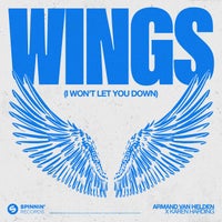 Armand Van Helden & Karen Harding - Wings (I Won't Let You Down) album artwork