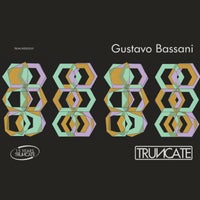 Gustavo Bassani - Diminished Samba album artwork