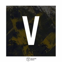 VA - Voltaire Music Pres. V - Issue 48 [Voltaire Music]