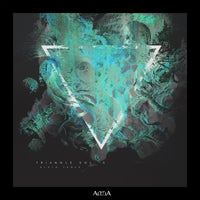 VA - Triangle Vol. 5 ALULA160