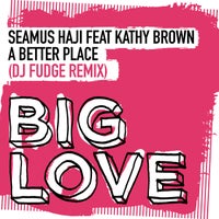 Seamus Haji - A Better Place (DJ Fudge Remix) [feat. Kathy Brown] album artwork