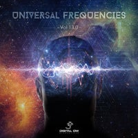 VA - Universal Frequencies, Vol. 13 [Digital Om]