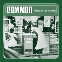 Common - The Light album artwork