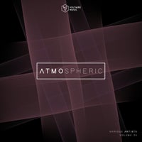 VA - Voltaire Music Pres. Atmospheric Vol. 24 [VOLTCOMP1169]
