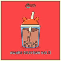 VA - AWK Selection Vol. 13 [AWK Recordings]