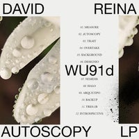 David Reina - Introspective album artwork