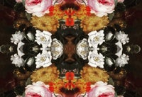 Pattern Perception