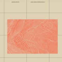 VA - Risks Issues Opportunities 2 [R.i.O. label]