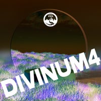 VA - Divinum 4 [NATCOMP052]