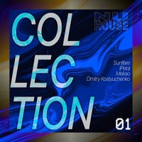 VA - Collection 01 [NuHouse]