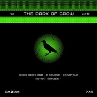 VA - The Dark of Crow Vol.2 [DarkCrow Records]