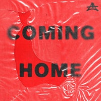 Adriatique & rhys from the sticks - Coming Home album artwork
