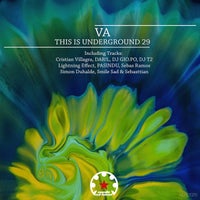 VA - This Is Underground 29 [Mystic Carousel Records]
