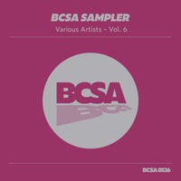 VA - BCSA Sampler, Vol. 6 [Balkan Connection South America]