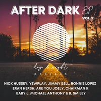 VA - After Dark, Vol. 2 [Day & Night Project]
