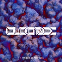 VA - Elberec Various 12 [ELBEREC]