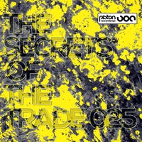 VA - Pro Unlimited [Comic Sans Records]