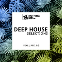 VA - Nothing But... Deep House Selections, Vol. 09 - (Nothing But)