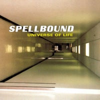 Spellbound - Universe of Life (Scot Project Remix) album artwork
