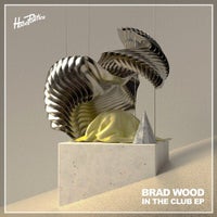 Brad Wood - Power (Extended Mix) album artwork
