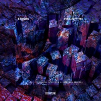 stndrd - Tinea Corporis album artwork